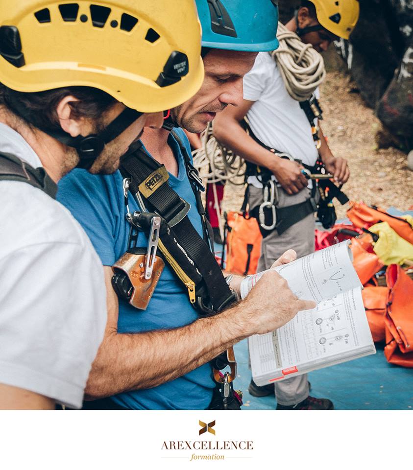 Conseils et formation continue